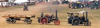 Great Dorset Steam Fair scene