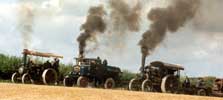Great Dorset Steam Fair scene