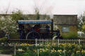 Mark Bray's Fowler Steam Roller